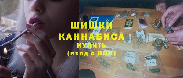 ГАЛЛЮЦИНОГЕННЫЕ ГРИБЫ Новозыбков